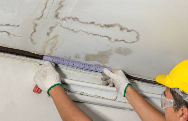 Reliable Mold Remediation contractor in Farmington, NH by Water Damage Irwin